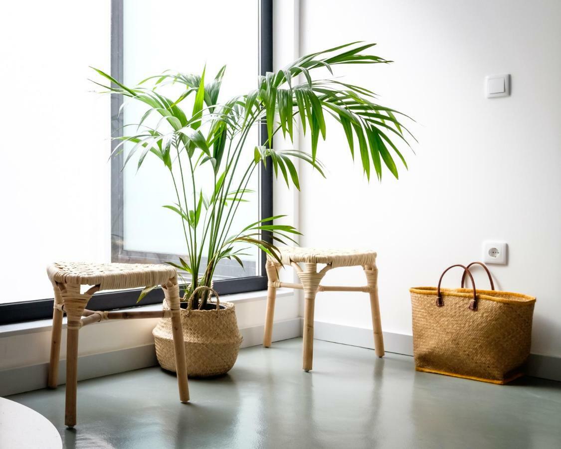 Casa Do Vento By Home Sweet Home Aveiro Buitenkant foto